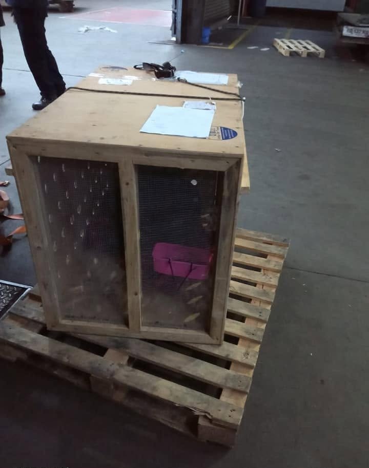 Wooden travel crate staged for loading