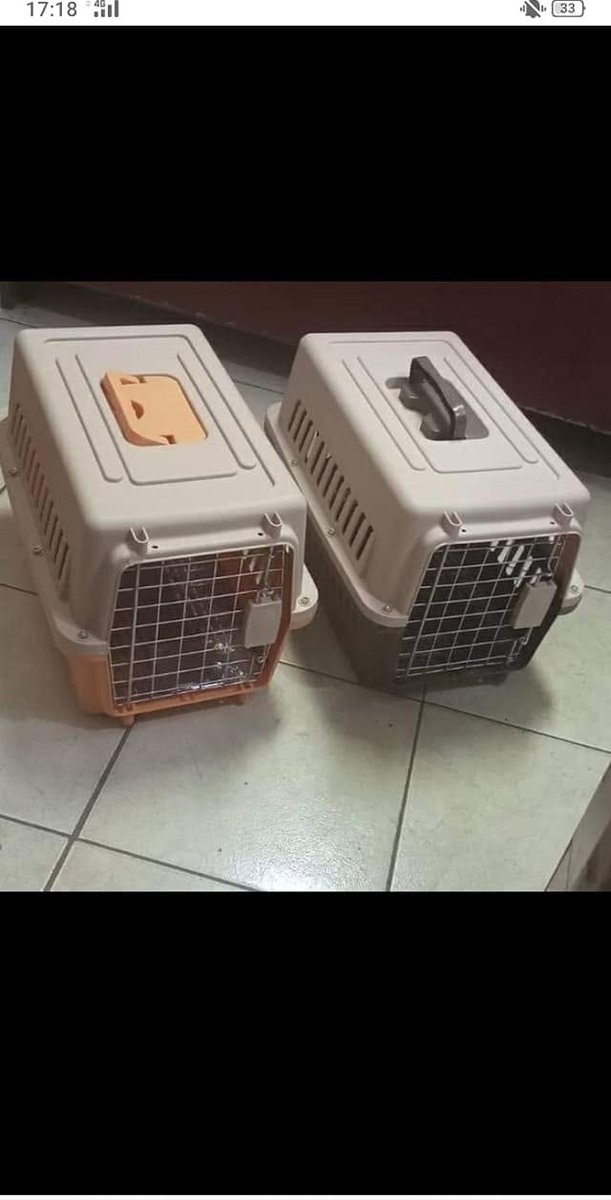 Travel crate prepared for its journey